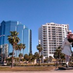 Marina Tower Condos Downtown Sarasota