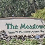 The Meadows Sarasota Real Estate